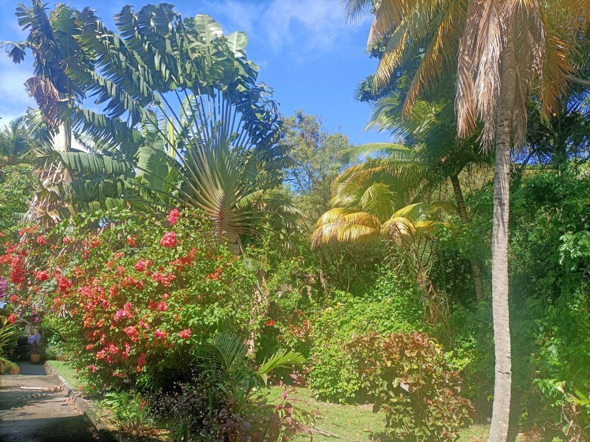 Le Colibri Ble Villa Sainte-Anne Exterior photo