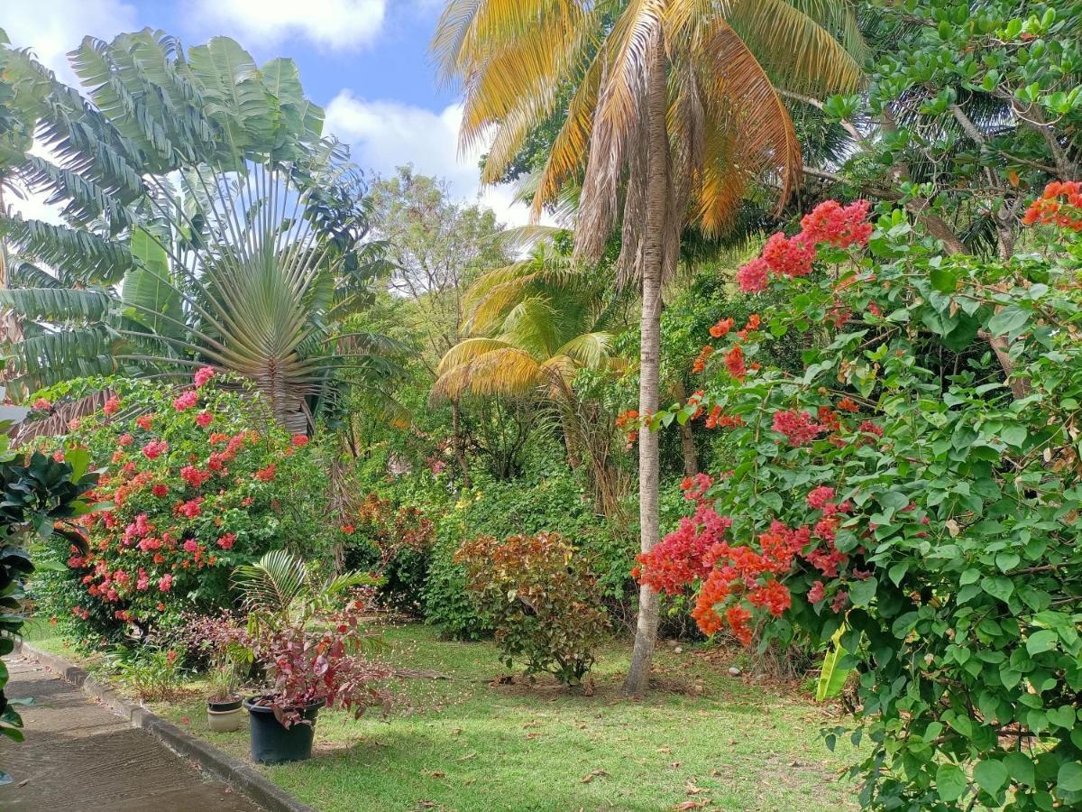 Le Colibri Ble Villa Sainte-Anne Exterior photo